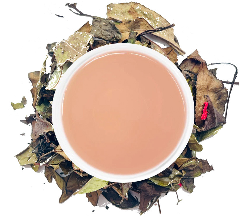 White Berry Leo Tea w eleganckiej puszce